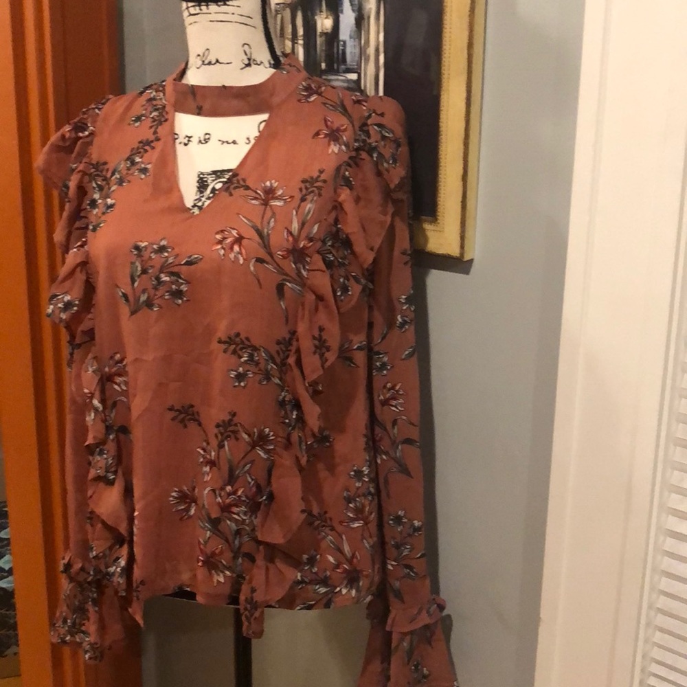 Endless Rose Semi-Sheer Bell Sleeve Blouse (L) - Picture 3 of 8